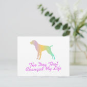 German Wirehaire Pointer Briefkaart (Staand voorkant)