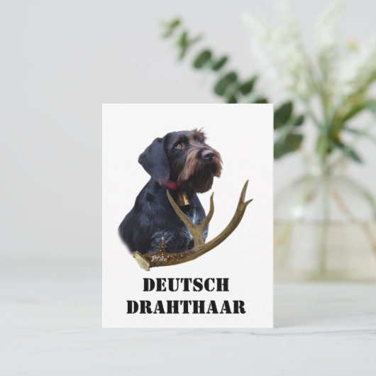 German Wirehaire Pointer Briefkaart (Staand voorkant)
