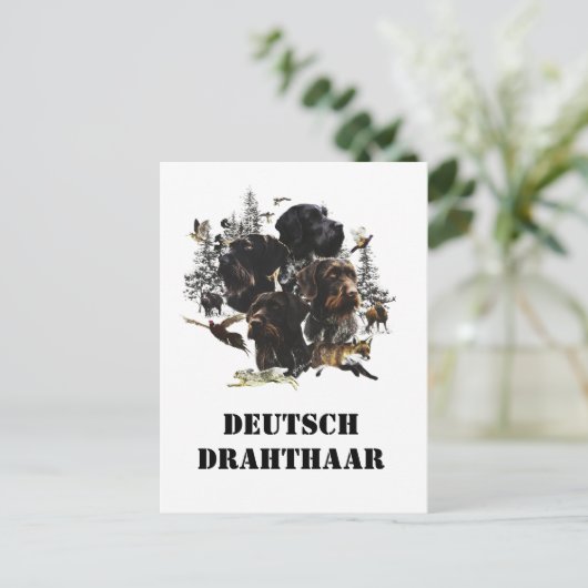 German Wirehaire Pointer Briefkaart (Staand voorkant)