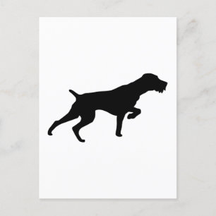 German Wirehaire Pointer Briefkaart