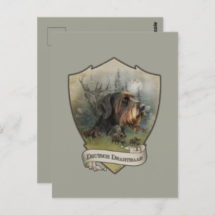 German Wirehaire Pointer Briefkaart