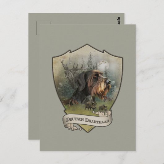 German Wirehaire Pointer Briefkaart (Voorkant / Achterkant)