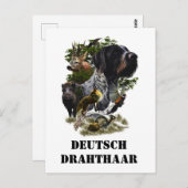 German Wirehaire Pointer Briefkaart (Voorkant / Achterkant)