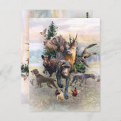 German Wirehaire Pointer Briefkaart (Voorkant / Achterkant)