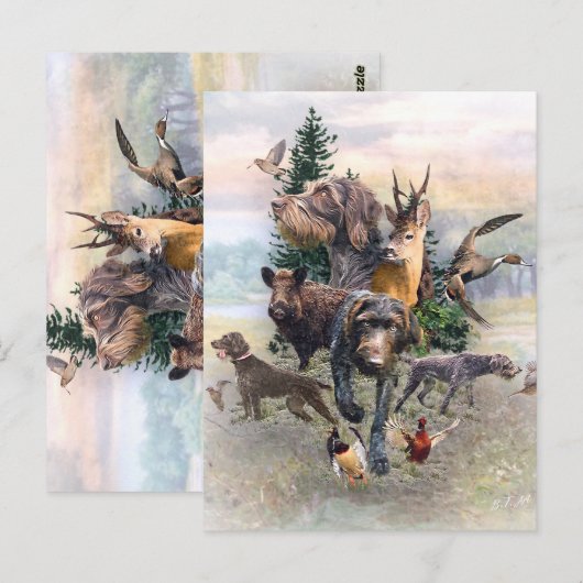 German Wirehaire Pointer Briefkaart (Voorkant / Achterkant)