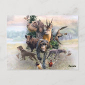 German Wirehaire Pointer Briefkaart (Achterkant)