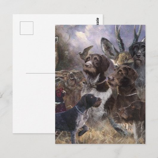 German Wirehaire Pointer Briefkaart (Voorkant / Achterkant)