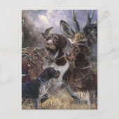 German Wirehaire Pointer Briefkaart (Voorkant)