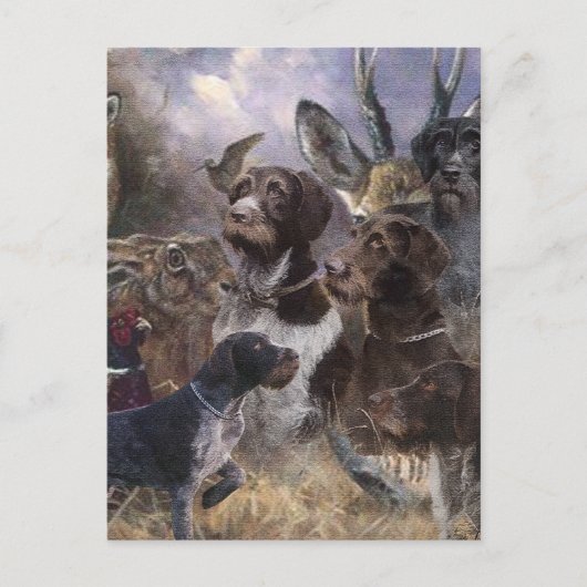 German Wirehaire Pointer Briefkaart (Voorkant)