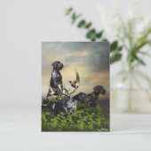 German Wirehaire Pointer Briefkaart (Staand voorkant)