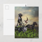 German Wirehaire Pointer Briefkaart (Voorkant / Achterkant)