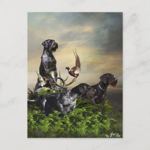German Wirehaire Pointer Briefkaart
