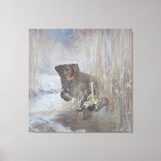 German Wirehaire Pointer Canvas Afdruk (Voorkant)