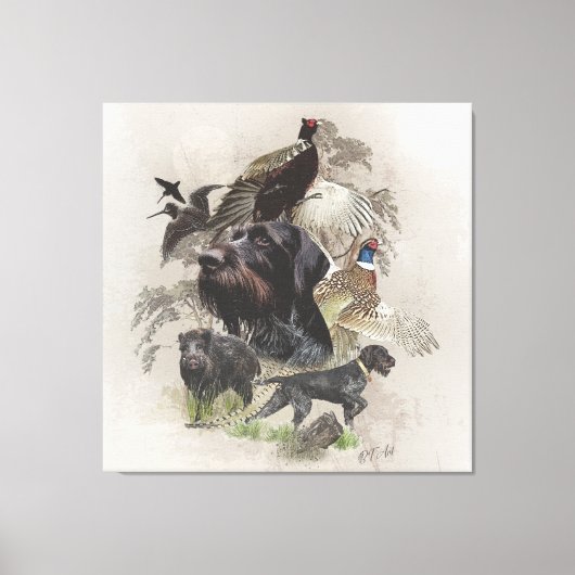 German Wirehaire Pointer , Continental pointo Canvas Afdruk (Voorkant)