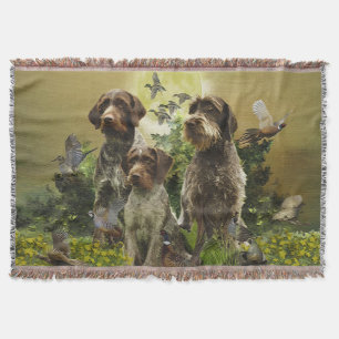 German Wirehaire Pointer Deken