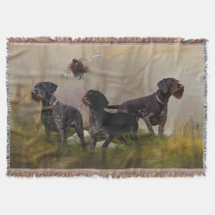German Wirehaire Pointer Deken