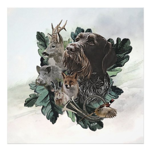 German Wirehaire Pointer Foto Afdruk (Voorkant)