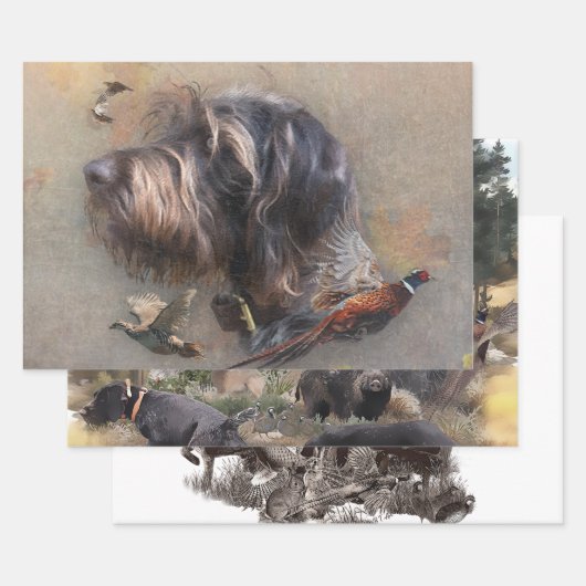 German Wirehaire Pointer Inpakpapier Vel (Set)