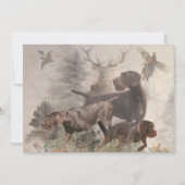 German Wirehaire Pointer Kaart (Voorkant)