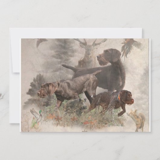 German Wirehaire Pointer Kaart (Achterkant)