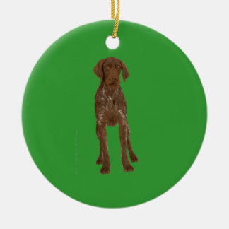 German Wirehaire Pointer Ornament