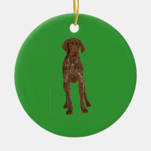German Wirehaire Pointer Ornament (Voorkant)