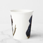 German Wirehaire Pointer Papieren Bekers (Rechts)