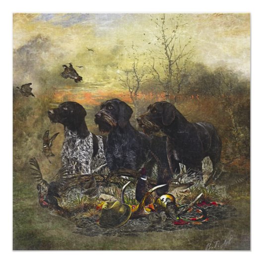 German Wirehaire Pointer Perfect Poster (Voorkant)