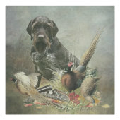 German Wirehaire Pointer Perfect Poster (Voorkant)