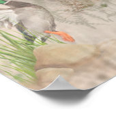 German Wirehaire Pointer Poster (Hoek)