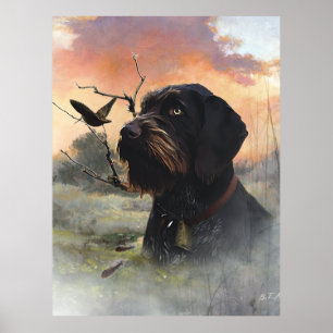 German Wirehaire Pointer Poster
