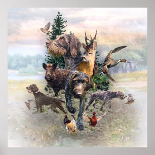 German Wirehaire Pointer Poster