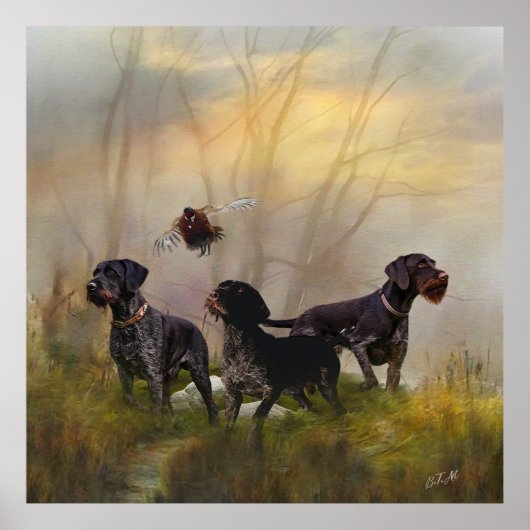 German Wirehaire Pointer Poster (Voorkant)
