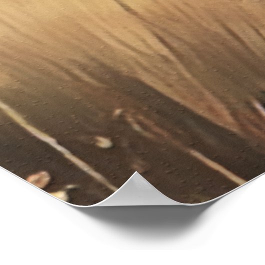 German Wirehaire Pointer Poster (Hoek)