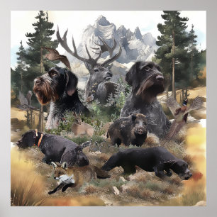German Wirehaire Pointer Poster