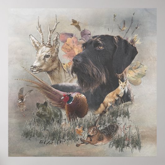 German Wirehaire Pointer Poster (Voorkant)