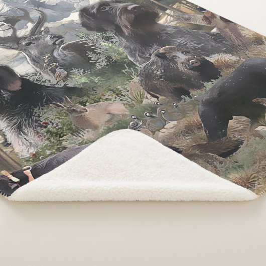 German Wirehaire Pointer Sherpa Deken (3/4)