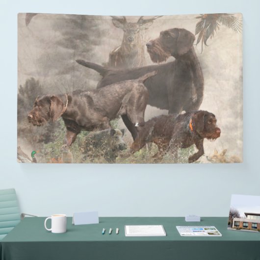 German Wirehaire Pointer Spandoek (Beurs)
