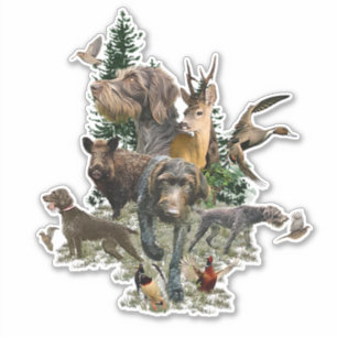 German Wirehaire Pointer Sticker