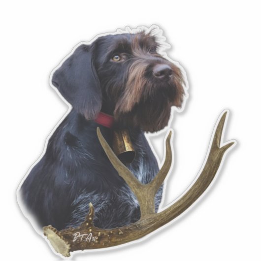 German Wirehaire Pointer Sticker (Voorkant)