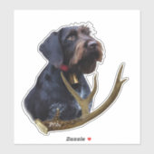 German Wirehaire Pointer Sticker (Vel)