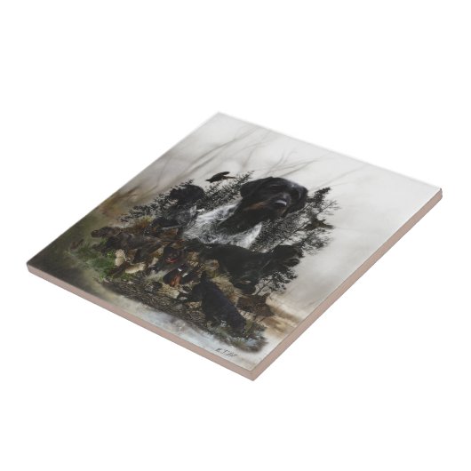 German Wirehaire Pointer Tegeltje (Zijkant)