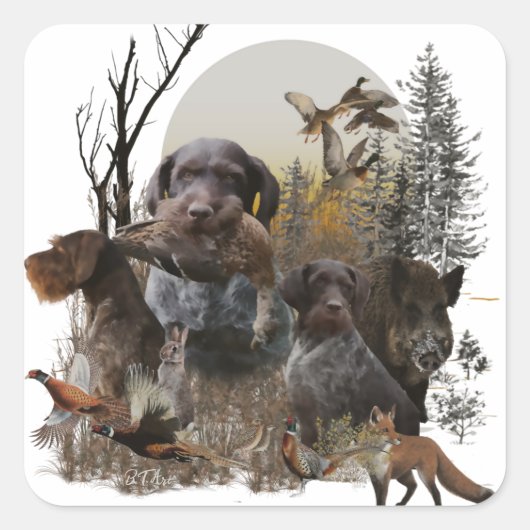 German Wirehaire Pointer Vierkante Sticker (Voorkant)