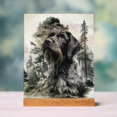 German Wirehaired Pointer (Neutre)