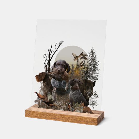 German Wirehaired Pointer, GWP (Angle)