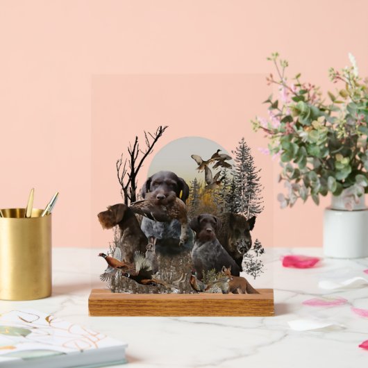 German Wirehaired Pointer, GWP (Mariage)