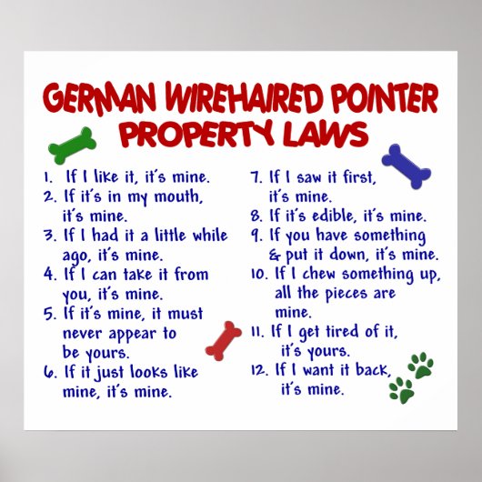 GERMAN WIREHAIRED POINTER PL2 POSTER (Voorkant)
