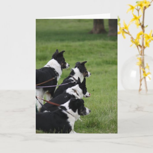 GermanShepherds Kaart (Gele Bloem)