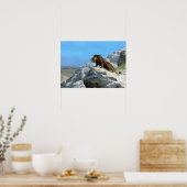 Gérôme - Lion op de horloge Poster (Keuken)