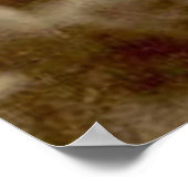 Geronimo 1904 poster (Hoek)